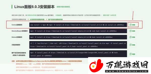 如何使用WEB成品站利用WEB成品站提升品牌曝光率的有效策略