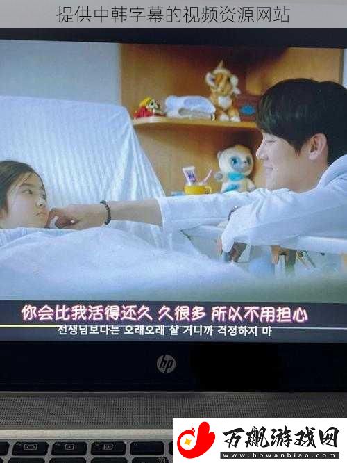 提供中韩字幕的视频资源网站