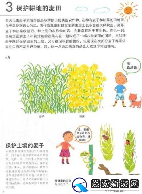 兄弟换麦子