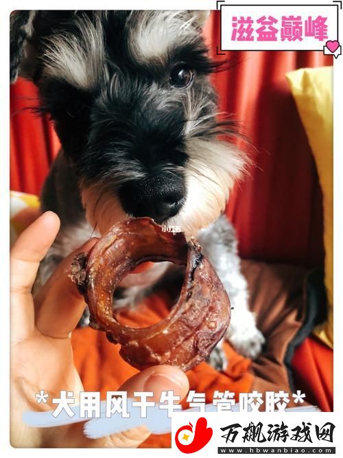 美国人与动物胶配方大全图片网友：各种用途真是让人大开眼界！