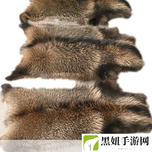 AAAA级毛皮最火的一句透露了中文社区开放信息，AAAA级毛皮揭秘：中文社区新趋势与开放信息的未来