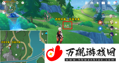 原神枫丹特有飞禽在哪