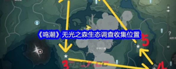 探索鸣潮无光之森：详尽图文生态调查指南与隐秘区域揭秘攻略