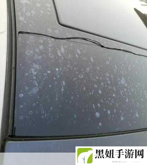 撞击声和黏腻粘连的水渍声,1. 撞击声与水渍交织的神秘故事
