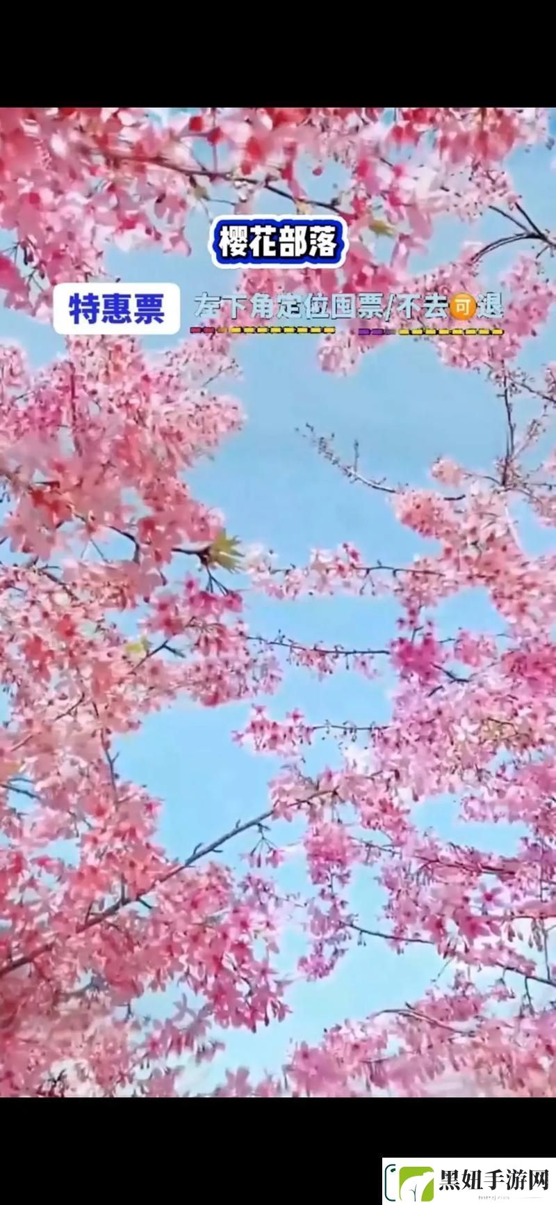 樱花官方官入口页-网友：体验无与伦比的美好