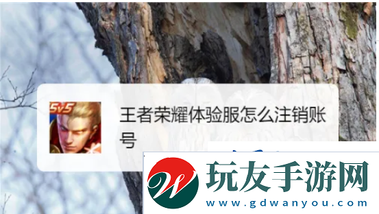 王者荣耀体验服怎么注销
