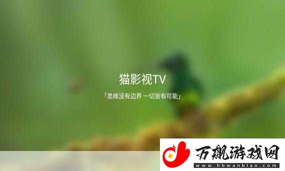 TV喵接口怎么设置要根据TV喵接口设置并拓展出新的标题可以参考以下步骤
