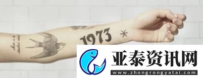 失落记忆黑色公文包的密码多少