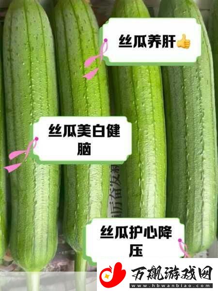 丝瓜草莓视频app：当然可以！以下是一些根据丝瓜草莓视频app拓展出的新