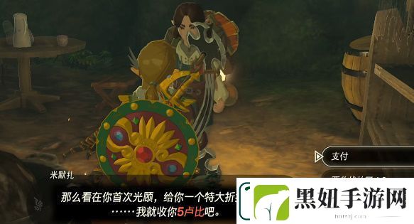 王国之泪炖怪物怎么做