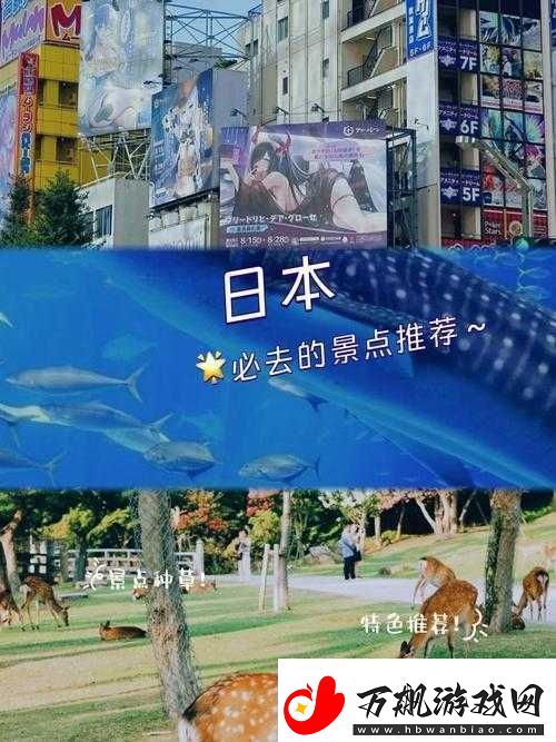 日本色倩网：探寻其独特魅力与内涵