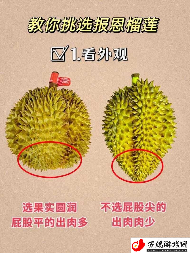 榴莲官方-ios-下载安装：轻松获取榴莲官方应用的详细指南