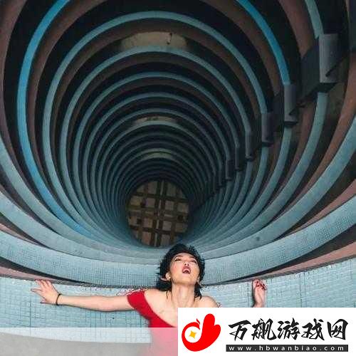 最近好看的2019免费