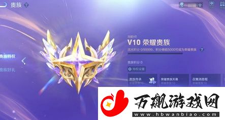 王者荣耀荣耀贵族福利特权介绍
