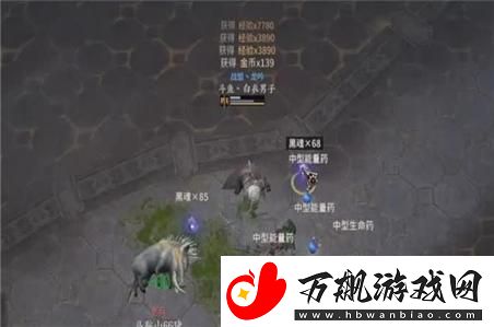 愚蠢的使者手游中角色与装备的最佳搭配与选择