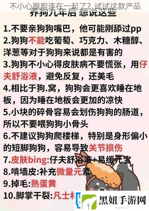 不小心跟狗连在一起了-试试这款产品