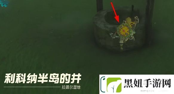 王国之泪炖怪物怎么做