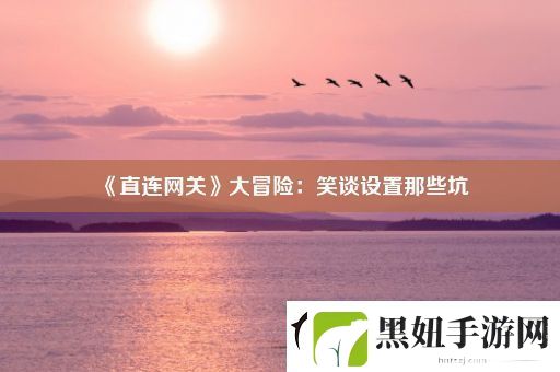 直连网关大冒险：笑谈设置那些坑