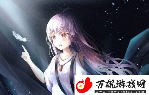 中日韩无矿砖区