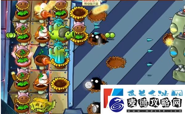 植物大战僵尸杂交版英雄模式埃德加的遗言通关攻略