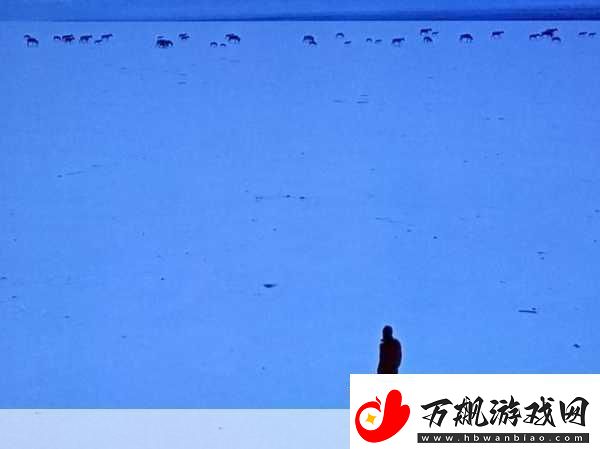 无人区一码二码三码四码-1.-无人区探秘：从一码到四码的神秘之旅