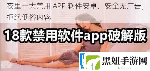 夜里十大禁用-APP-软件安卓-安全无广告-拒绝低俗内容