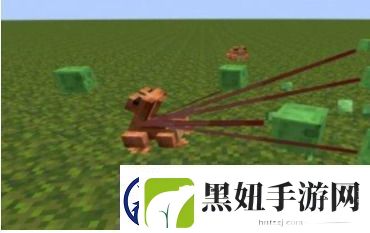 我的世界青蛙有什么用-我的世界青蛙用途介绍