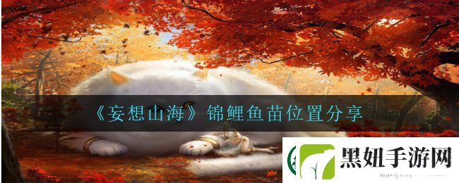 妄想山海锦鲤鱼苗在哪-锦鲤鱼苗位置分享