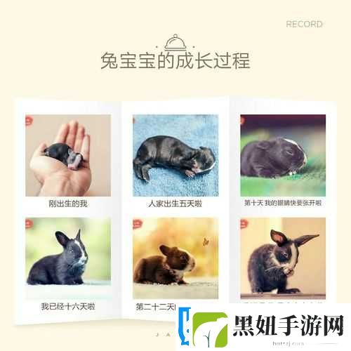 男朋友总吸我小兔子的缘由
