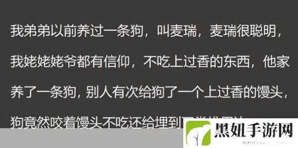 ZOOMSERVO兽狗剧情解析：1. 《ZOOMSERVO兽狗：科技与人性的边缘探索