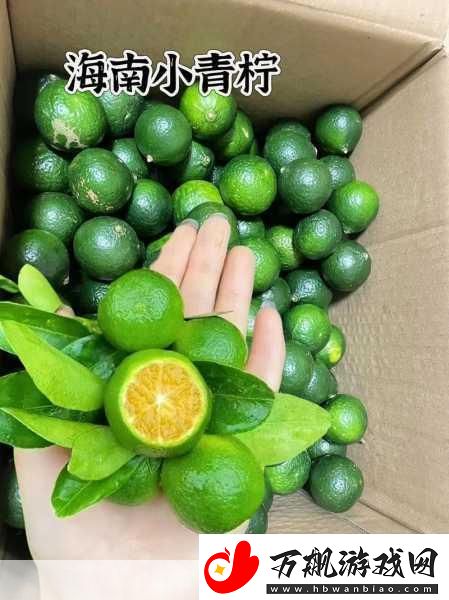 青柠在线观看视频不光有视频还有直播