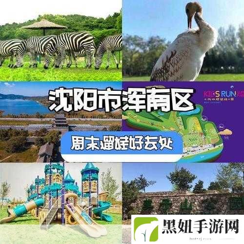 已满十八岁请带好纸的歌词不再是老旧内容：1. 走出青涩岁月，迎接全新人生