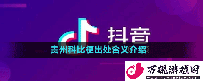贵州科比什么梗