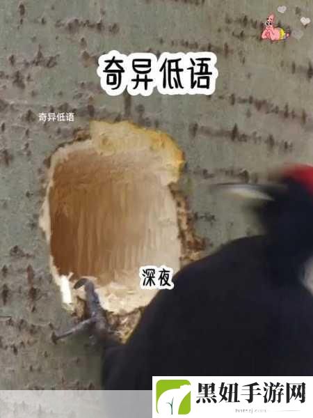 床震加喘息声:1. 深夜低语:床震与喘息的秘密