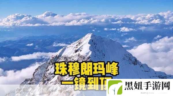 8848高清电影电视剧免费看：1. 免费畅享8848高清电影与电视剧的无尽乐趣