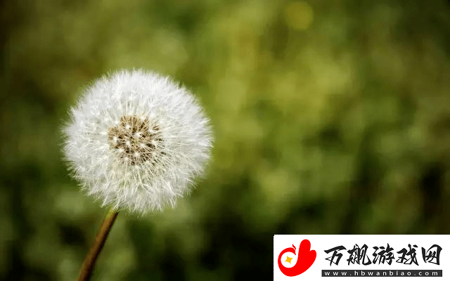 从运动场到生活中的转变体育生在塑造健康生活理念中面临的挑战和对抗猛男的心理压力的探讨