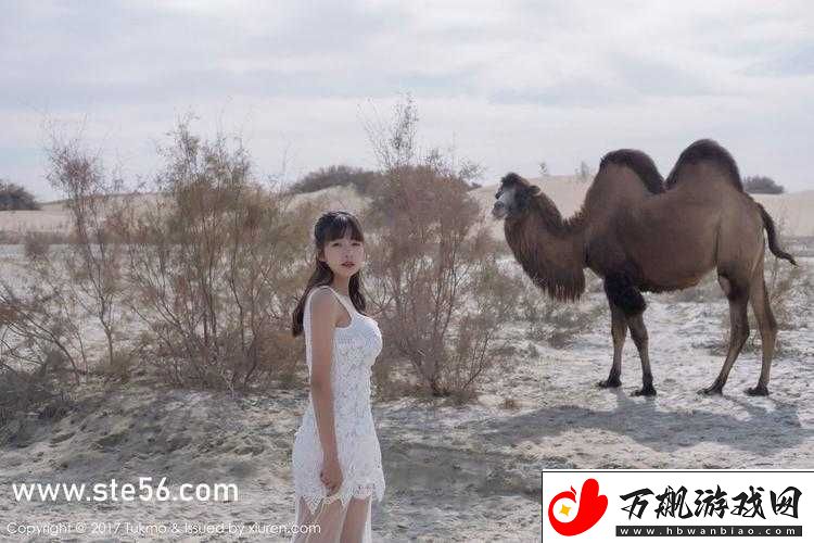 越南女-RAPPERDISS-苗族：苗族文化与嘻哈音乐的融合