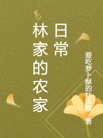林家日常2v2