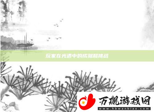 玩家在光遇中的成就和挑战