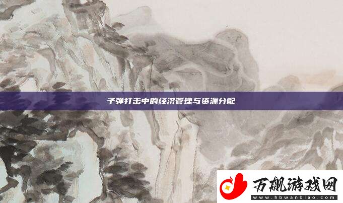 子弹打击中的经济管理与资源分配
