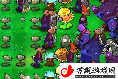 植物大战僵尸杂交版挑战第40关如何闯关植物大战僵尸杂交版挑战模式第40关通关攻略