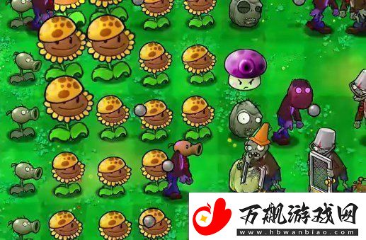 植物大战僵尸杂交版挑战第40关如何闯关植物大战僵尸杂交版挑战模式第40关通关攻略