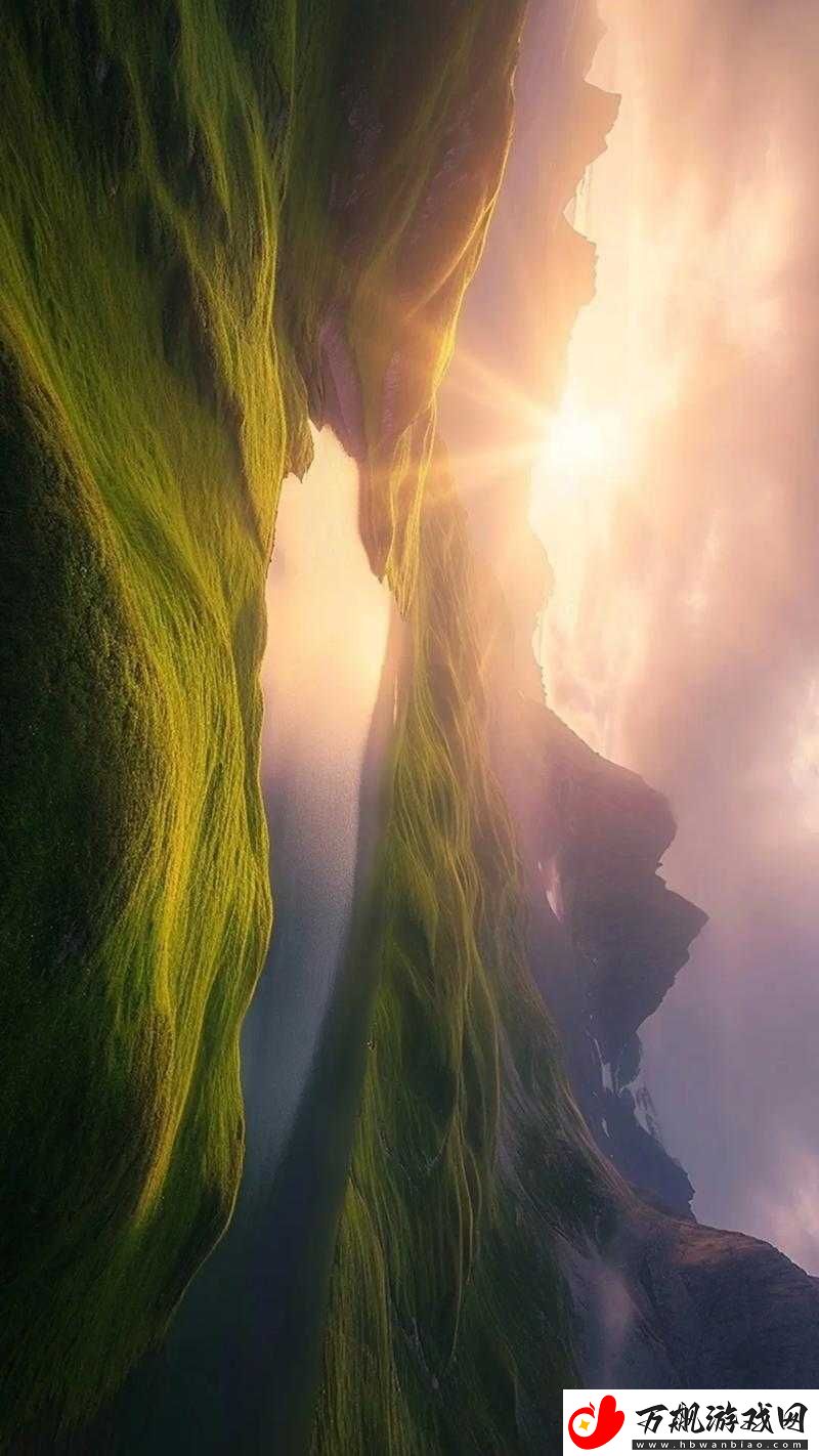 大地资源