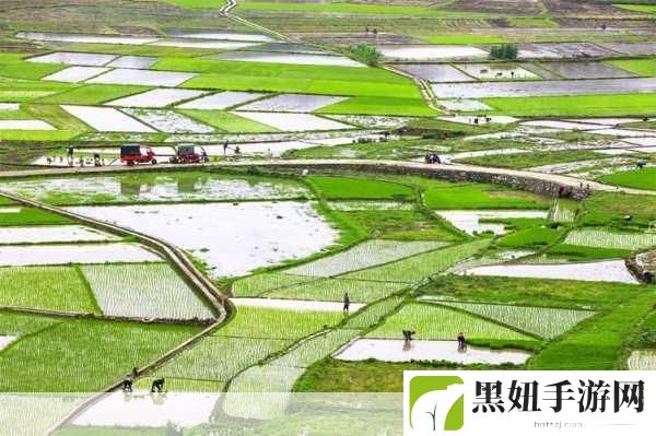 开垦妈妈肥沃的土地好吗:1. 开垦妈妈肥沃的土地,创造美好未来