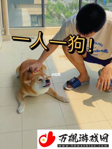 一人一狗卡住1小时-网友：这是一场行走的考验！