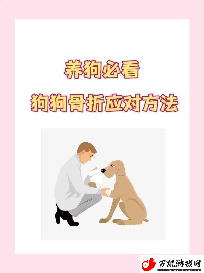 狗卡私处怎么办：实用应对指南