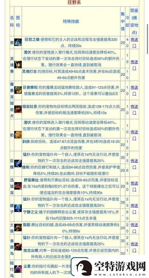 猎人宝宝优先护甲还是耐力：解析其对宝宝能力的影响