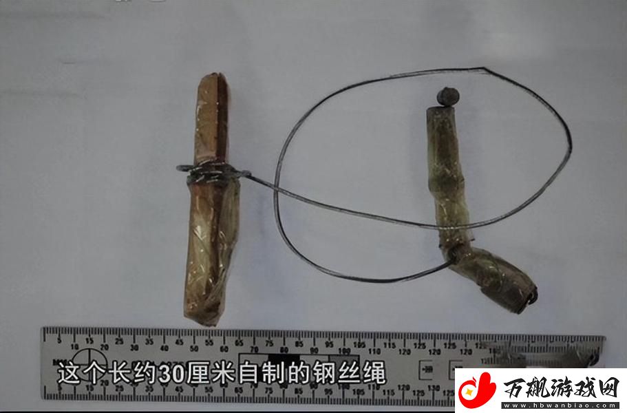 科技界的另类突破:罚坐三角架尖尖图片的奇葩纪录