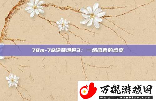 78m-78隐藏通道3：一场感官的盛宴