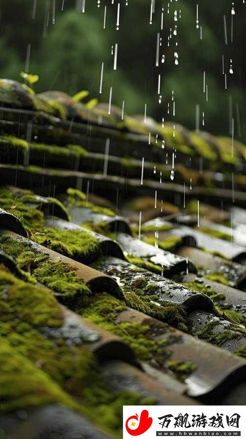 填得很满感觉春雨回答